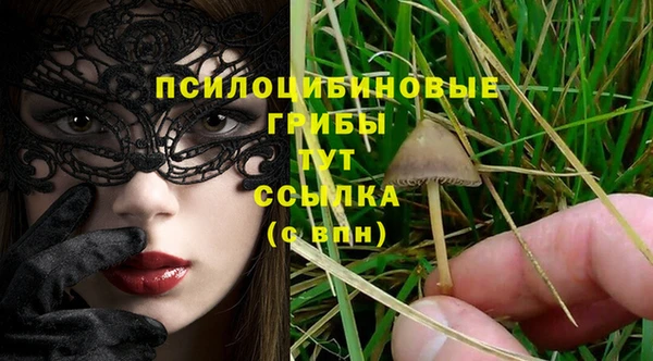 mix Алексин