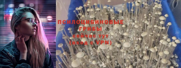 spice Алексеевка