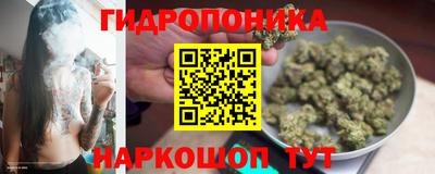 дмт Абинск