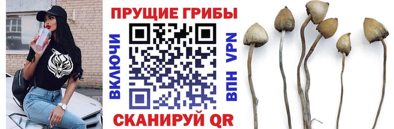Галлюциногенные грибы мицелий  ОМГ ОМГ вход  Апатиты 