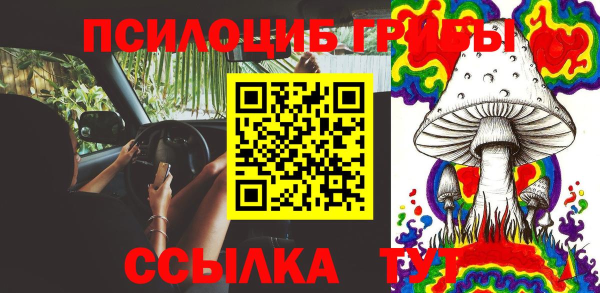 Апатиты  Псилоцибиновые грибы Psilocybe  Вход с VPN  Псилоцибиновые грибы ЛСД 